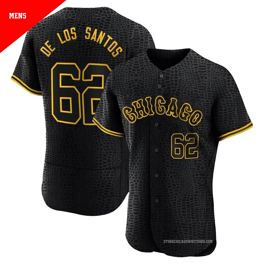 Men's ＃62 Enyel De Los Santos Chicago White Sox Black Authentic Snake Skin City Jersey