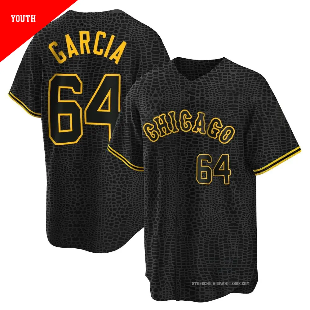 Youth ＃64 Deivi Garcia Chicago White Sox Black Replica Snake Skin City Jersey